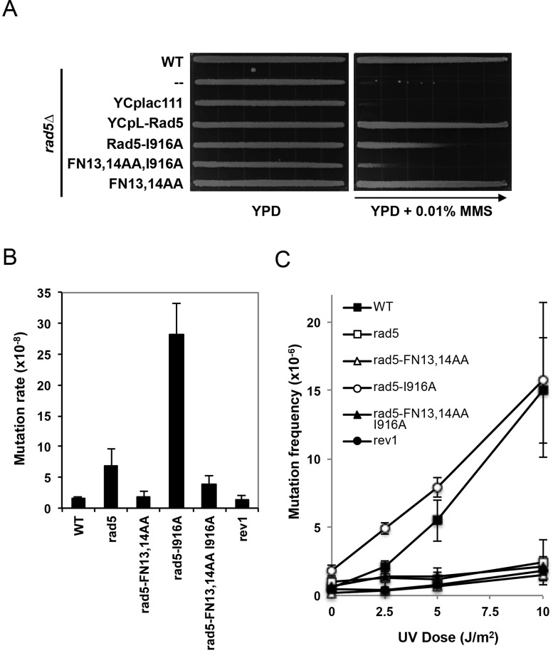 Figure 4.