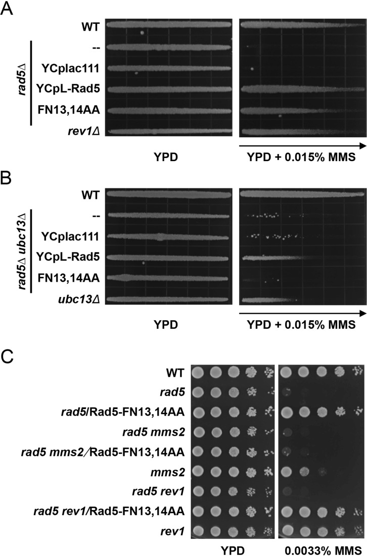 Figure 3.