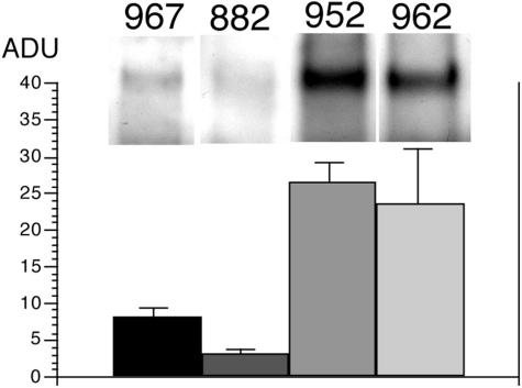 FIG. 6..