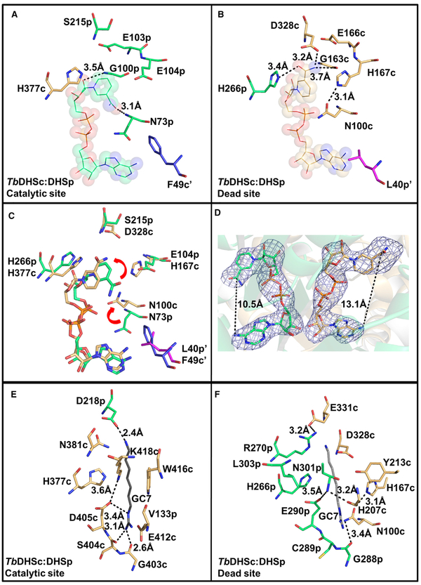 Figure 6.