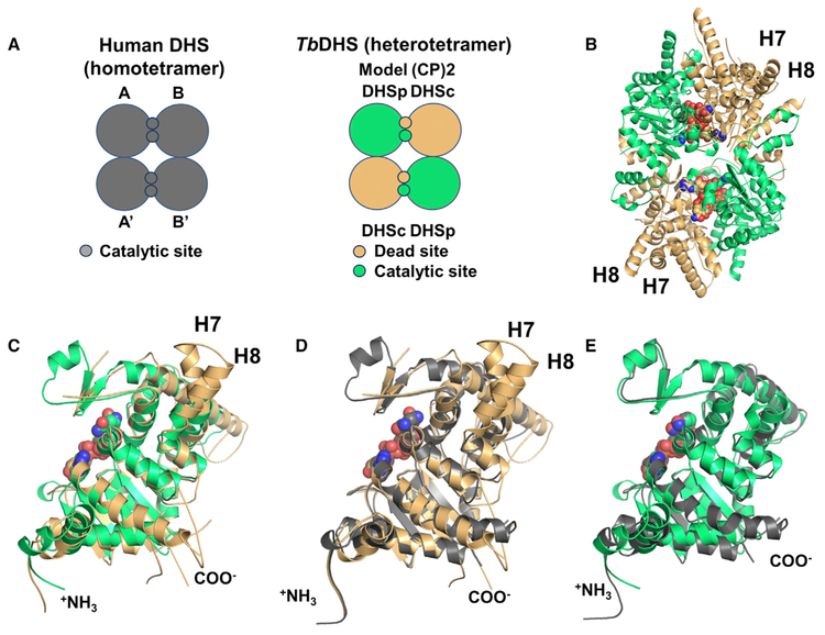 Figure 3.