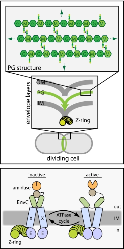 Fig. P1.