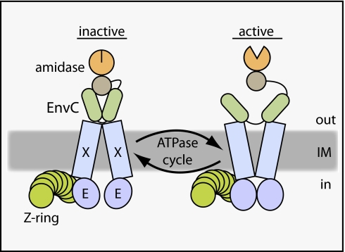 Fig. 9.