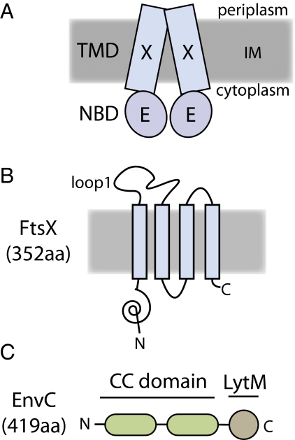 Fig. 1.