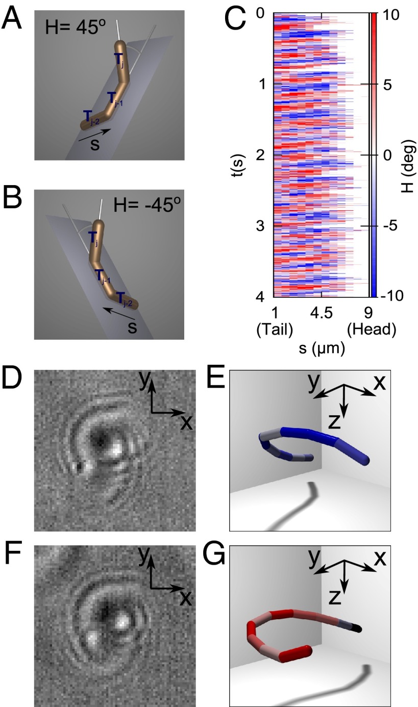 Fig. 3.