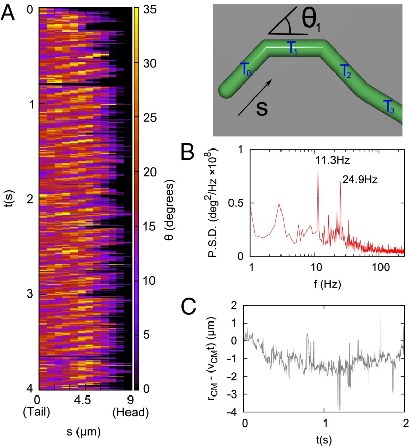 Fig. 2.