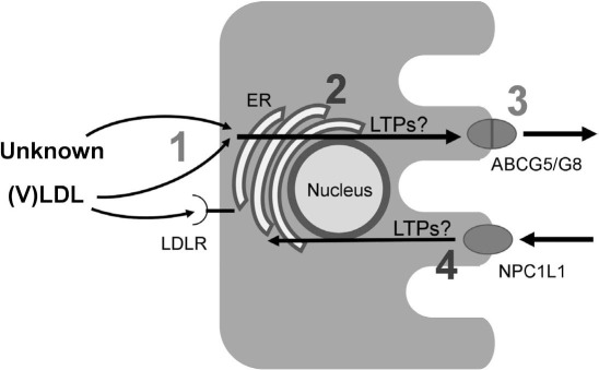 Figure 1.