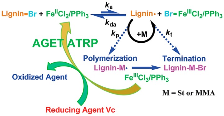 Figure 24