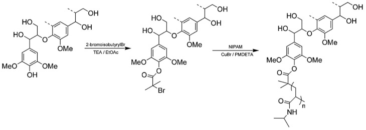 Figure 20