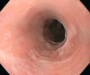 Fig. 6