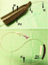 Fig. 3