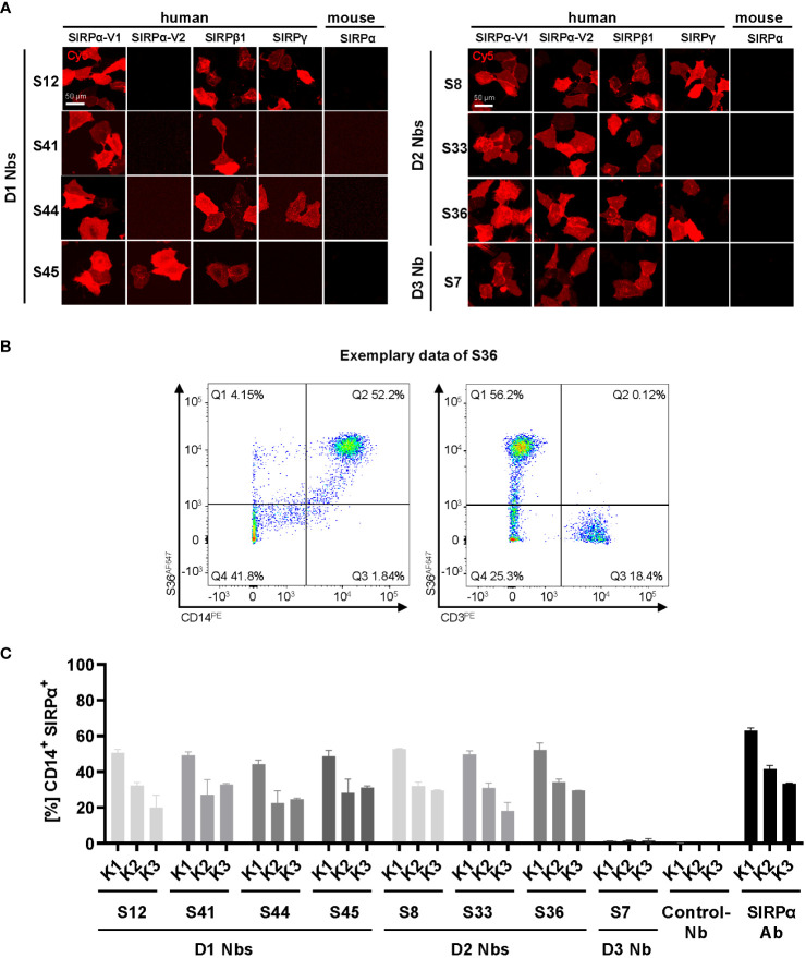 Figure 3