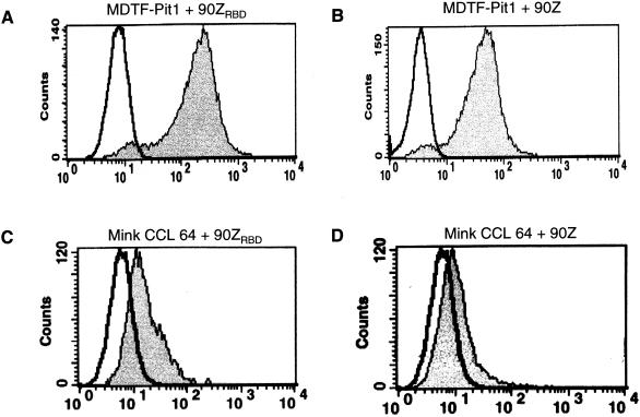 FIG. 2.