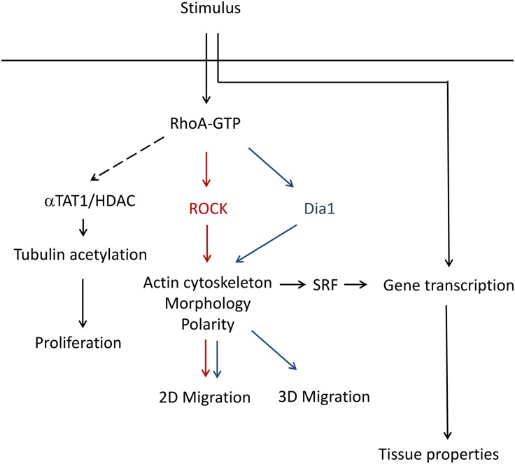 Fig 10