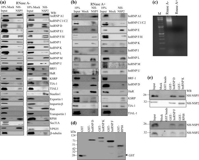 FIG 1