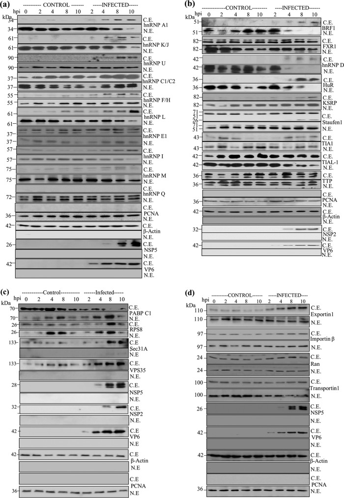 FIG 2