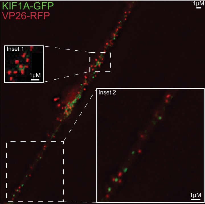 FIG 7