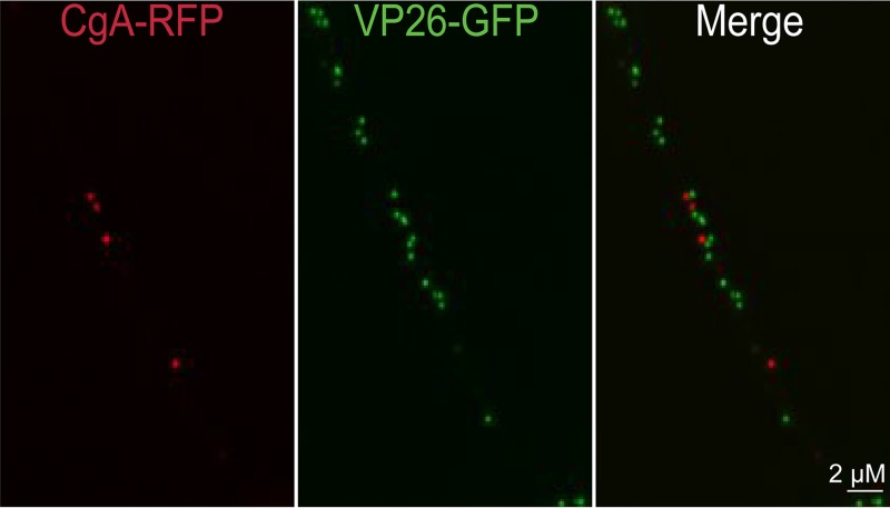 FIG 3