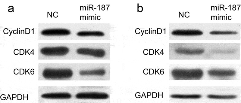 Figure 5.