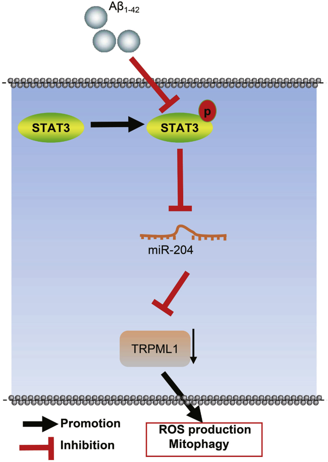 Figure 7