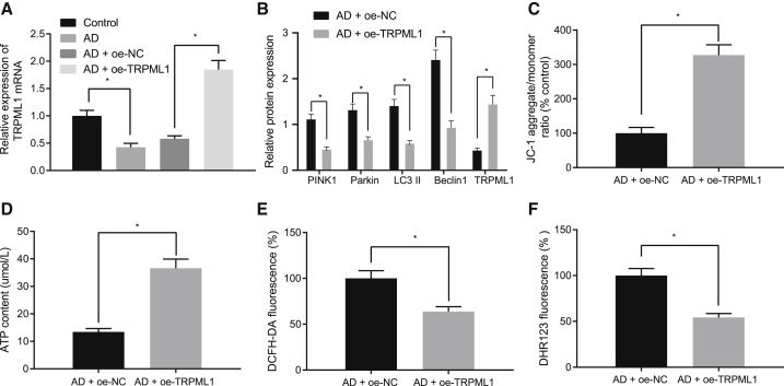 Figure 2