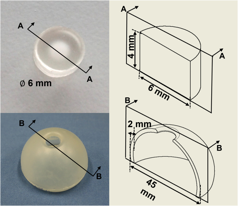 Fig. 2