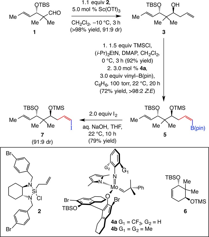 Scheme 4