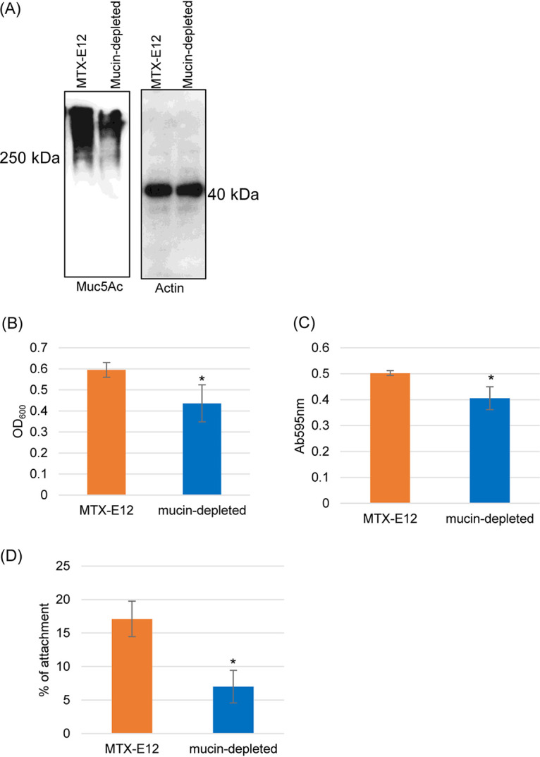 FIG 8