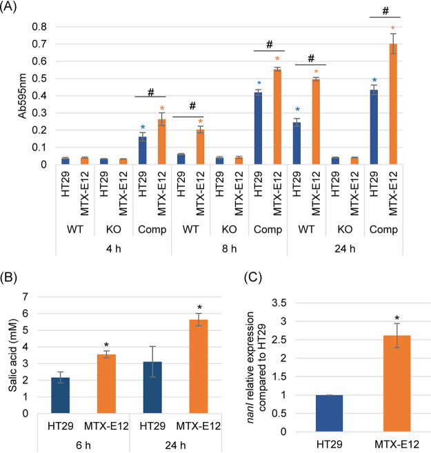 FIG 4