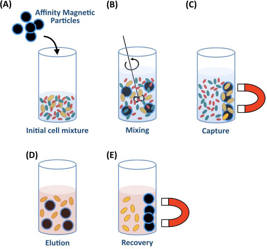 Figure 11.