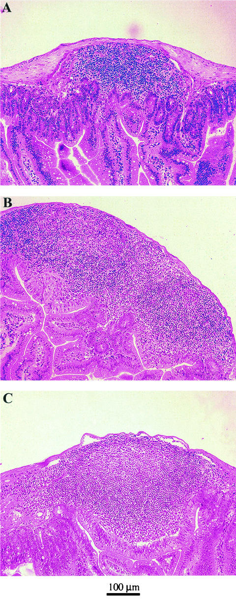 FIG. 3.