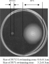 FIG. 7.