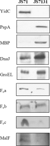 FIG. 9.