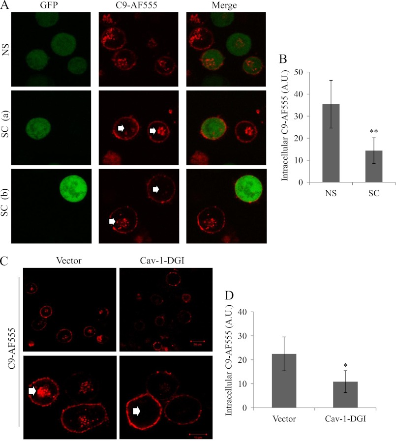 FIGURE 3.