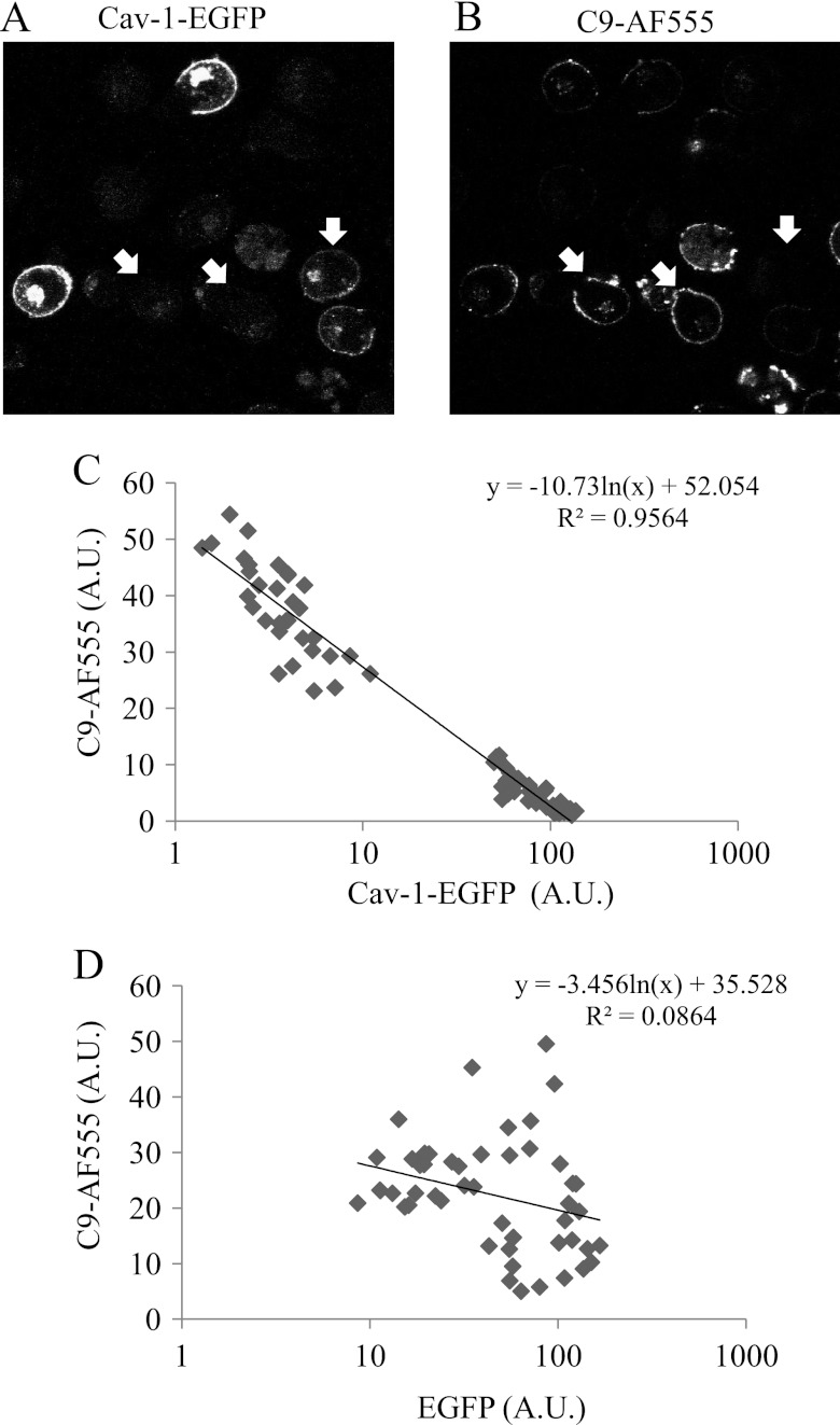 FIGURE 7.