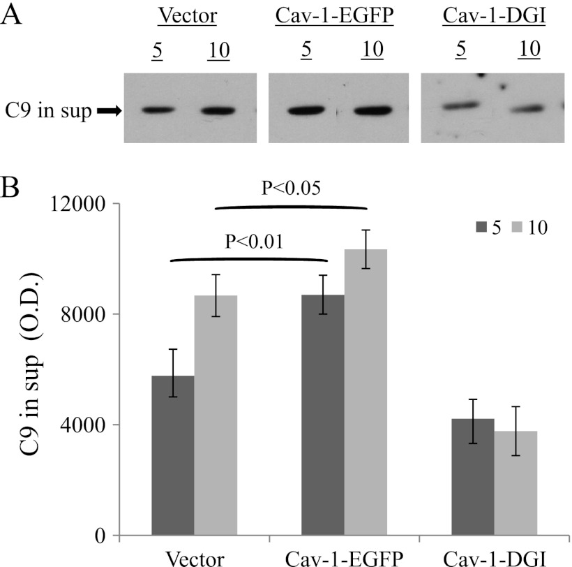 FIGURE 6.