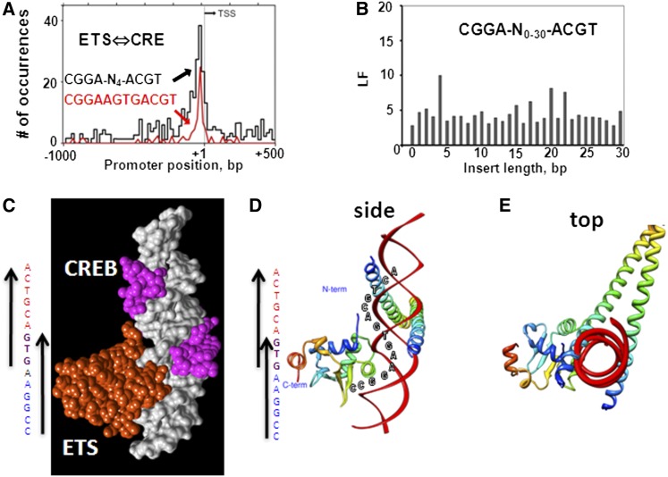 Figure 3 