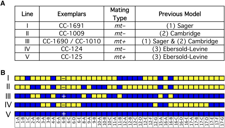 Figure 7.