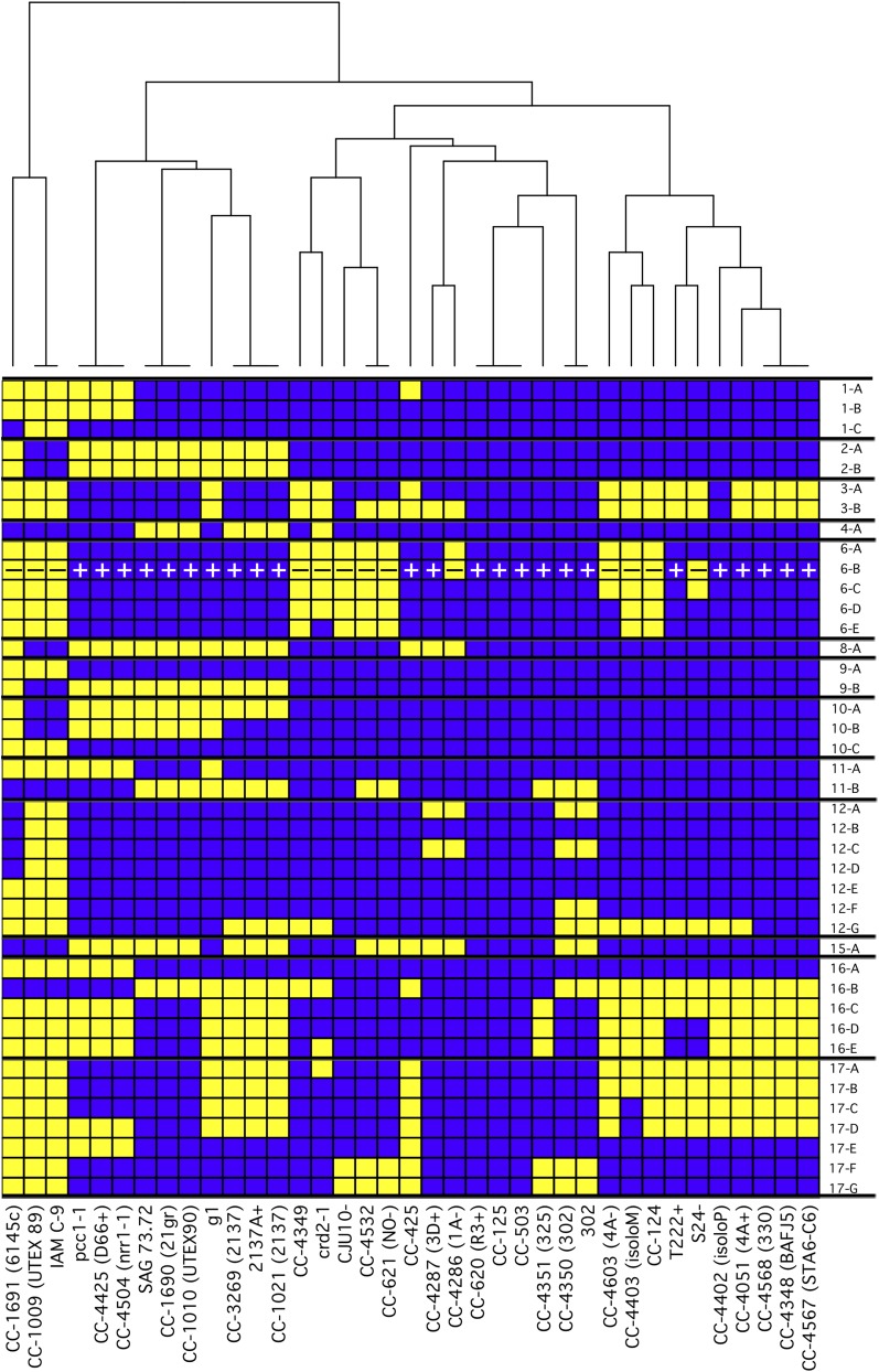 Figure 5.