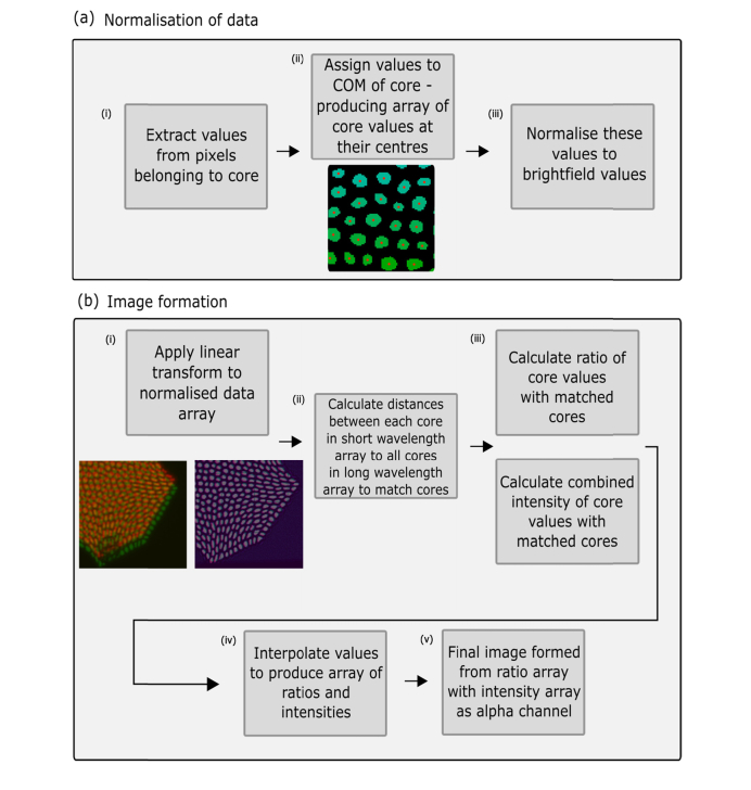 Fig. 4