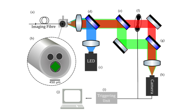 Fig. 1