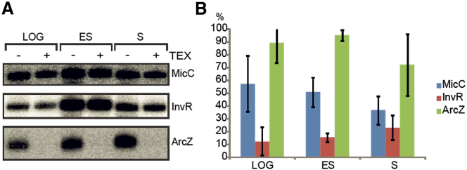 Figure 5