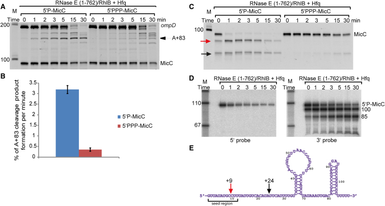 Figure 4