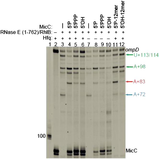 Figure 3