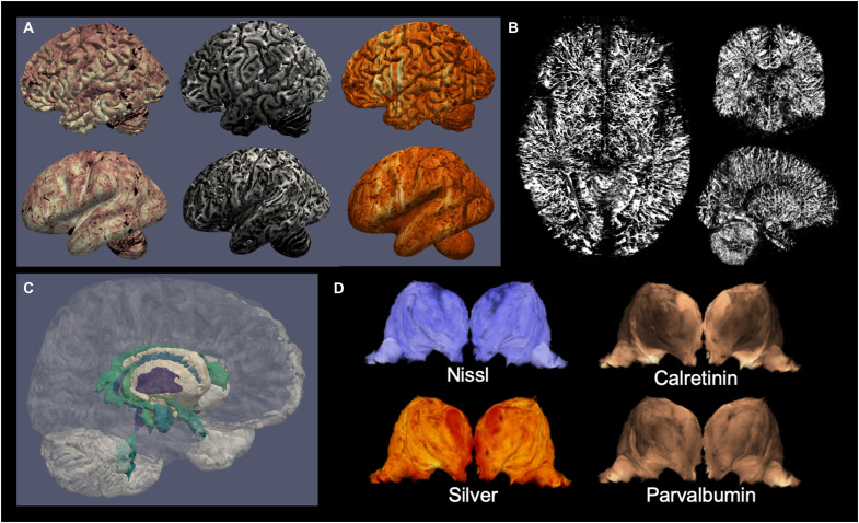 Fig. 2.