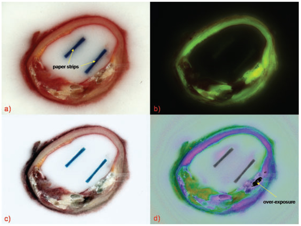 Fig. 2