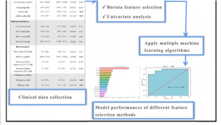 graphic file with name CRJ-17-684-g002.jpg