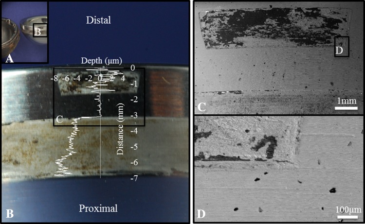 Fig. 9A–D