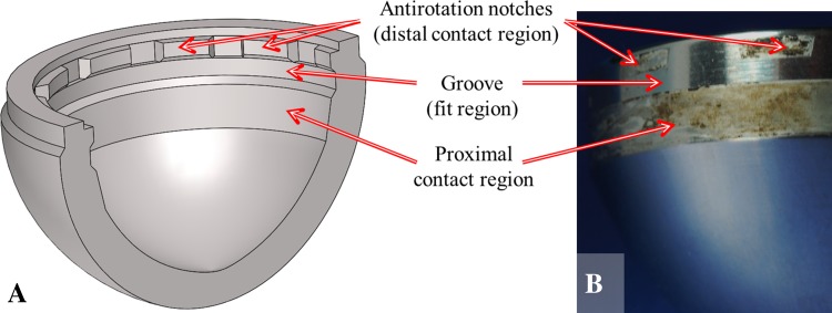 Fig. 2A–B