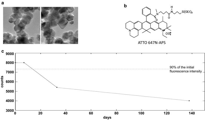 Fig. 1